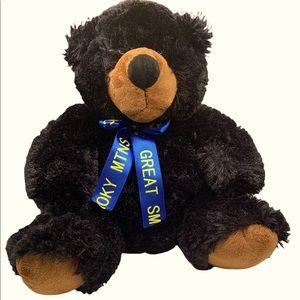 Great Smoky Mountains collectible plush bear